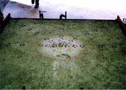 Specimen surface marked with circular rings indicating the vibration transmission range