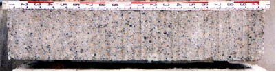 Cross-sectional view of a cut concrete test specimen